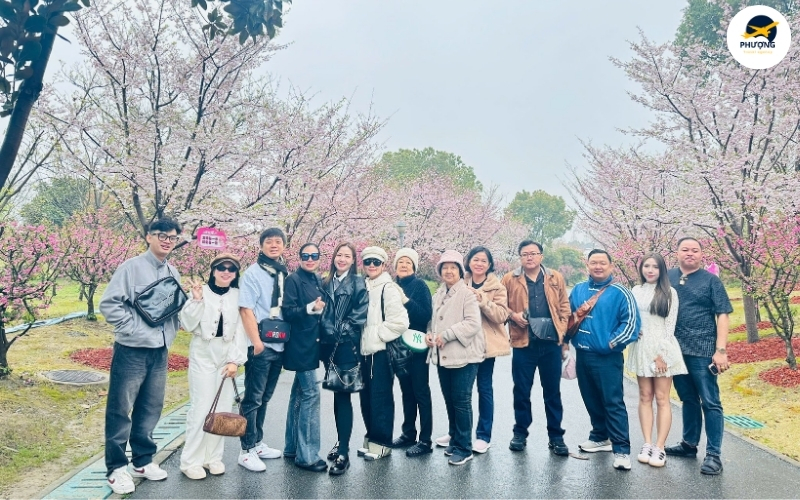 Tour Thượng Hải - Ô trấn - Hàng Châu - Hoành Thôn 6N5Đ từ Hà Nội đường bay